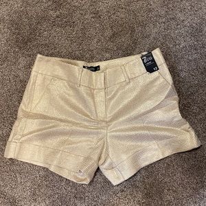 7th Avenue Shorts